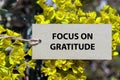 focus on gratitude word on paper