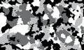 texture military camouflage repeats seamless army black white hunting