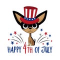 Happy 4th of July - cartoon chihuahua dog in uncle sam hat and with fireworks.