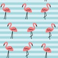 Flamingo Bird All over print Seamless Pattern With Stripe Detail Background