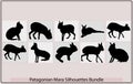 Patagonian mara silhouette,Patagonian mara silhouette bundle,Patagonian mara illustration,Patagonian mara vector Royalty Free Stock Photo