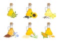 Set of different cooking oils in glass bottles, seeds and plants.