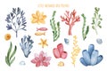 Cute illustration with seaweeds and corals.Underwater collection. Royalty Free Stock Photo