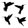 Silhouette Flying Hummingbirds Isolated on White Background Illustration Royalty Free Stock Photo