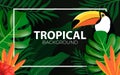 Tropical forest,Summer poster, background with beautiful exotic birds and plants. toucan bird leaves and flowers Royalty Free Stock Photo