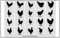Vector illustration of a black cock silhouette,Rooster silhouette vector,poultry chickens roosters vector,rooster silhouettes