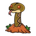 Cute reticulatus python cartoon out from hole Royalty Free Stock Photo