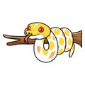 Cute amelanistic reticulated python cartoon on tree branch Royalty Free Stock Photo