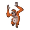 cartoon cute orang utan monkey smile