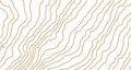 Gold wooden pattern. Wood grain texture. Dense lines. Abstract white background. Vector