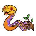 Cute purple albino tiger reticulated python cartoon on tree branch