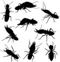 various poses of termites in black and white, silhouette