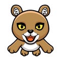 Cute little puma cougar cartoon Royalty Free Stock Photo