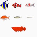 Vector illustration of seven types of fish Royalty Free Stock Photo