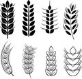 wheat stalk silhouette vector illustration