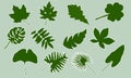 Twelve stickers of various types of green leaves