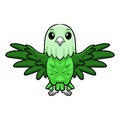 Cute grey headed love bird cartoon