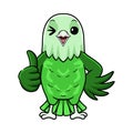 Cute grey headed love bird cartoon giving thumb up