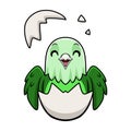 Cute grey headed love bird cartoon inside from egg