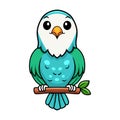 Cute blue turquoise bird cartoon on tree branch Royalty Free Stock Photo