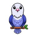 Cute violet love bird cartoon on tree branch Royalty Free Stock Photo