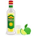 Mexican tequila and lime. Vector illustration