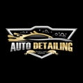 Auto detailing, car dealership carwash logo design template