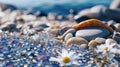 White daisies and colorful pebbles