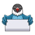 Cute slaty blue love bird cartoon holding blank sign Royalty Free Stock Photo