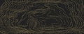 Wood grain black texture with golden beads. Seamless wooden pattern. Abstract dotted luxurious background. Vector