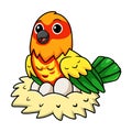 Cute yellow and green parrot lovebird cartoon with eggs in the nest