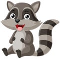 Cute baby raccoon cartoon sitting Royalty Free Stock Photo