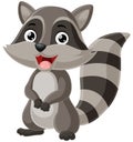Cute baby raccoon cartoon standing Royalty Free Stock Photo