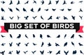 Bird icons set, different types of wild birds flat and modern icons Royalty Free Stock Photo