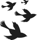 Flying birds silhouette icon, Vector Royalty Free Stock Photo