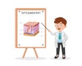 Integumentary system clipart cartoon style. Doctor presenting human integumentary system medical seminar flat vector illustration