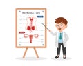 Reproductive system clipart cartoon style. Doctor presenting human reproductive system at medical seminar flat vector illustration