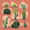 cute cartoon desert cactus vector collection set illustration