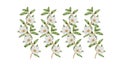 Unique White Floral Pattern Illustration