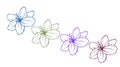 Four Floral Pattern Multicoloured Illustration