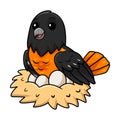 Cute baltimore oriole bird cartoon with eggs in the nest Royalty Free Stock Photo