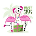 Merry Xmas - funny flamingos in santa hat with Christmas present in island.