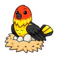 Cute western tanager bird cartoon with eggs in the nest