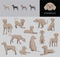 Dog Weimaraner Cartoon Vector Illustration Color Variation Set Brown Coat Royalty Free Stock Photo