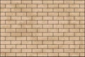 Old grunge brown color wall brick texture isolated - vector Royalty Free Stock Photo