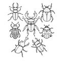 Doodle insect bug hand draw illustration