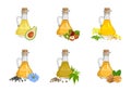 Set of different cooking oils in glass bottles, seeds, nuts and plants.