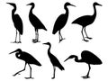 Set of egret bird silhouette vector art on a white background