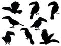 Set of toucan silhouette vector art on a white background