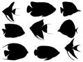 Set of angle fishes silhouette vector art on a white background Royalty Free Stock Photo